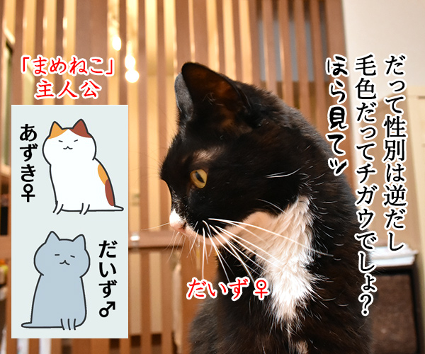 「まめねこ」って漫画知ってるかしら？　猫の写真で４コマ漫画　３コマ目ッ