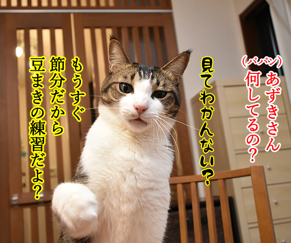 もうすぐ節分だから…　猫の写真で４コマ漫画　２コマ目ッ