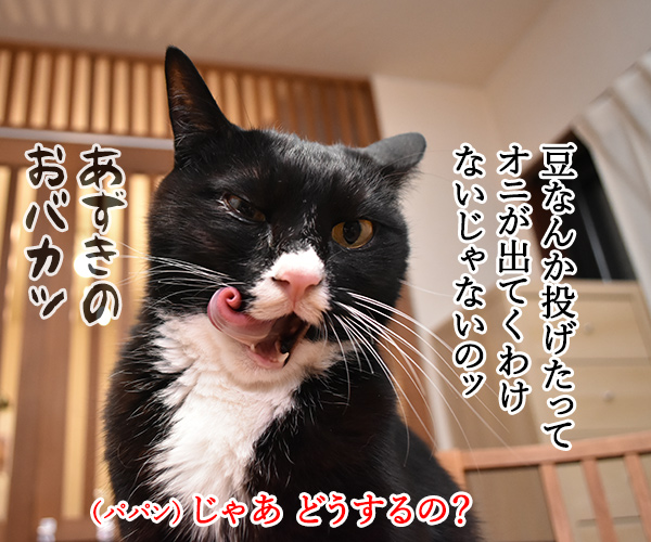 もうすぐ節分だから…　猫の写真で４コマ漫画　３コマ目ッ