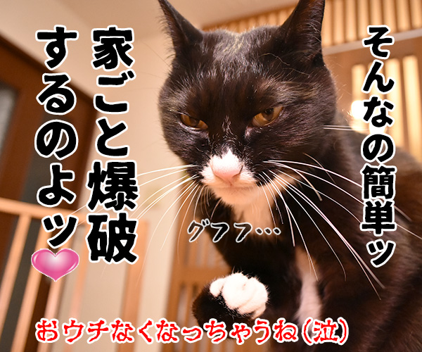 もうすぐ節分だから…　猫の写真で４コマ漫画　４コマ目ッ