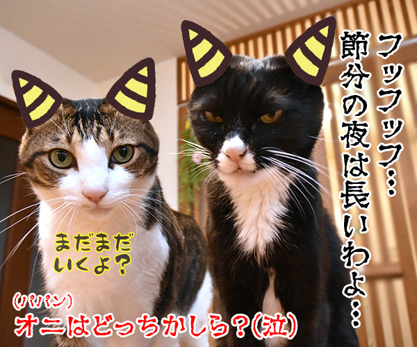 節分はアタチ達 豆兄弟にまかせてちょうだいッ　猫の写真で４コマ漫画　４コマ目ッ