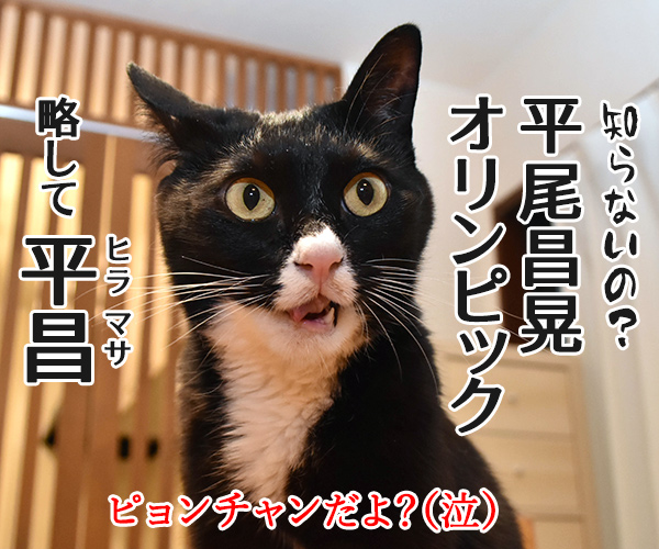 平昌オリンピックが始まったわねッ　猫の写真で４コマ漫画　４コマ目ッ