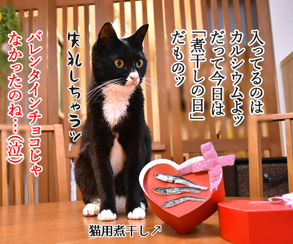 2月14日だから コレあげる♪　猫の写真で４コマ漫画　４コマ目ッ