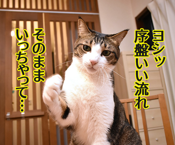 羽生くーんッ ガンバッテーッ　猫の写真で４コマ漫画　２コマ目ッ