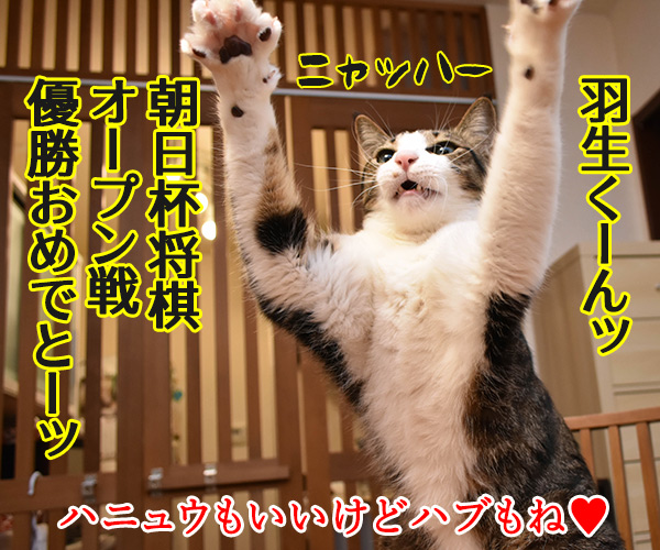 羽生くーんッ ガンバッテーッ　猫の写真で４コマ漫画　４コマ目ッ