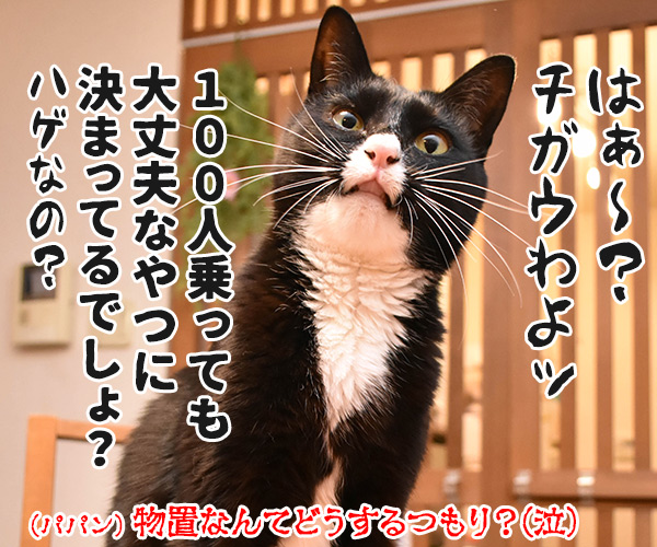 『猫の日』は日頃の感謝を込めて…　猫の写真で４コマ漫画　４コマ目ッ