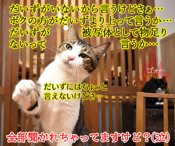 あずきさんの写真が『猫ぐらし冬号』に掲載されたのよッ　猫の写真で４コマ漫画　４コマ目ッ