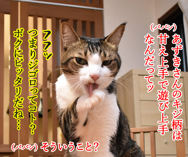 猫さんの柄で性格がわかるのよッ　猫の写真で４コマ漫画　２コマ目ッ