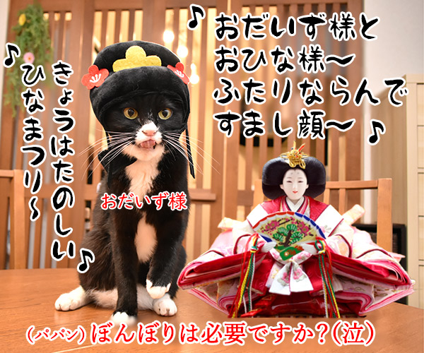 きょうはたのしいひな祭り　猫の写真で４コマ漫画　４コマ目ッ