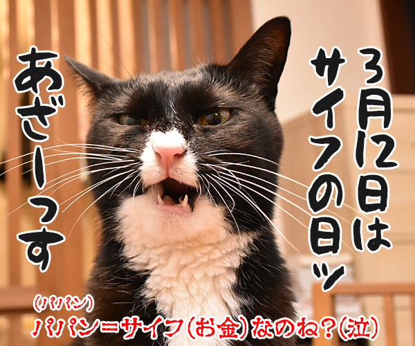 今日はパパンの日なんですってッ　猫の写真で４コマ漫画　４コマ目ッ