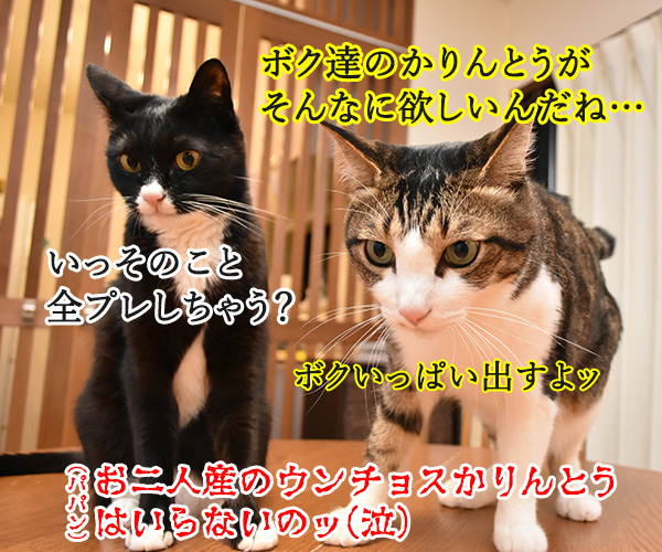 ブログのロゴを変えてみたのよッ　猫の写真で４コマ漫画　４コマ目ッ