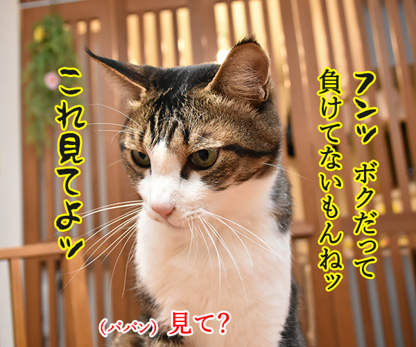 アタチ イケボにしびれちゃうのッ　猫の写真で４コマ漫画　３コマ目ッ