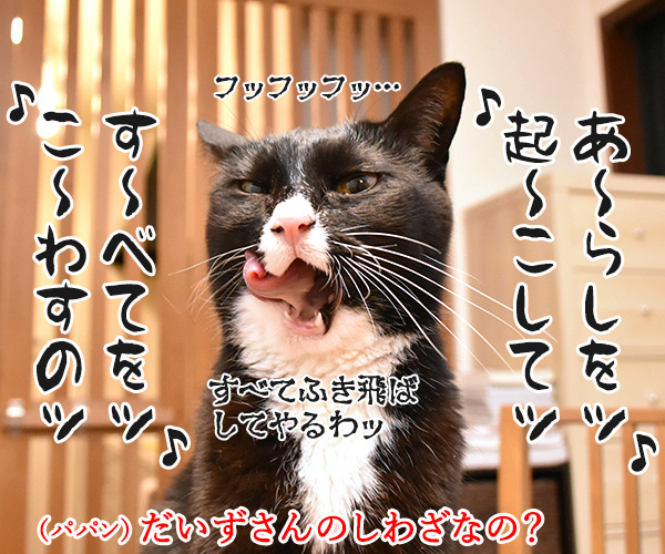 春の嵐がまたくるんですってッ　猫の写真で４コマ漫画　２コマ目ッ