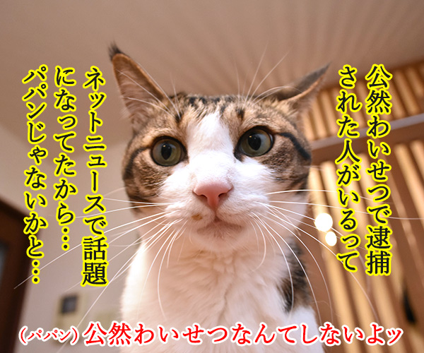 パパンの帰りが遅いから…　猫の写真で４コマ漫画　３コマ目ッ