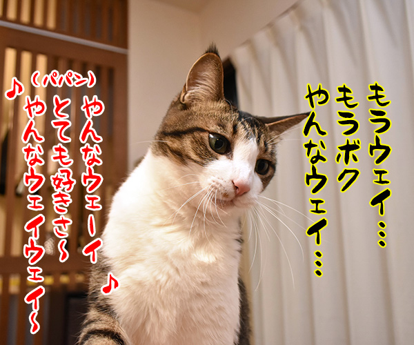 猫じゃらさんでウェイウェーイ　猫の写真で４コマ漫画　４コマ目ッ