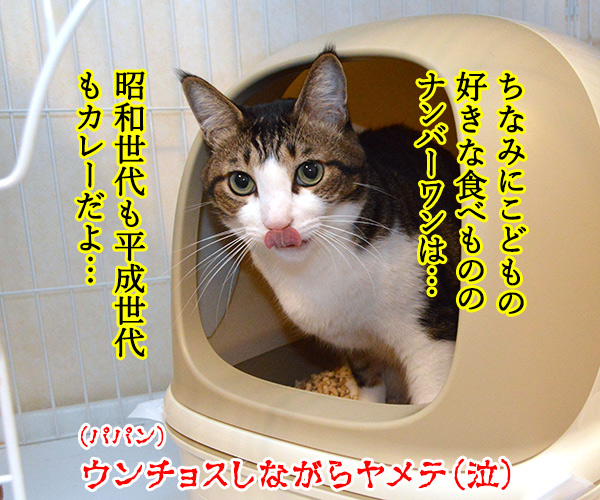 こどもの日だからウンチョスブリブリ　猫の写真で４コマ漫画　４コマ目ッ