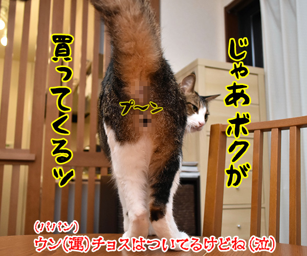 わんにゃんスクラッチを買いに行かなくっちゃッ　猫の写真で４コマ漫画　４コマ目ッ