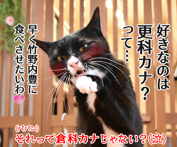 そば職人にアタチなるッ　猫の写真で４コマ漫画　４コマ目ッ