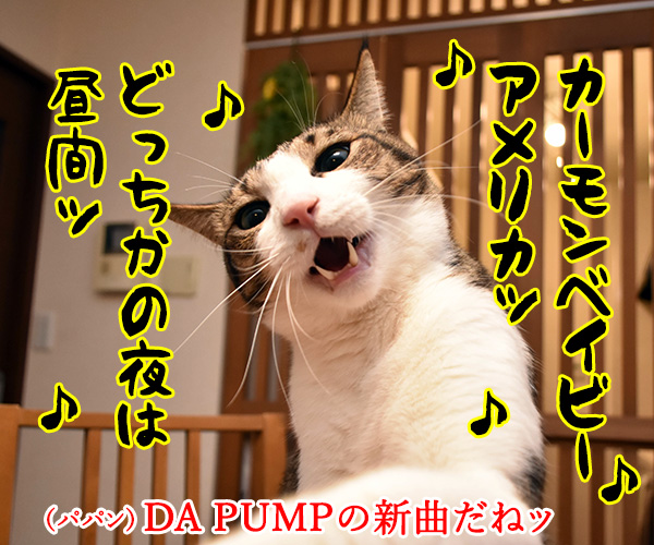 DA PUMPのU.S.Aはダサかっこいいのよッ