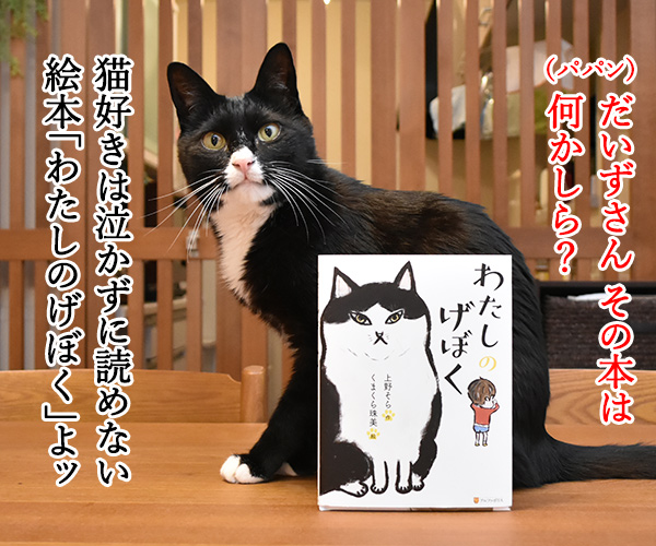 『わたしのげぼく』のスピンオフ作品を考えてみたのッ　猫の写真で４コマ漫画　１コマ目ッ
