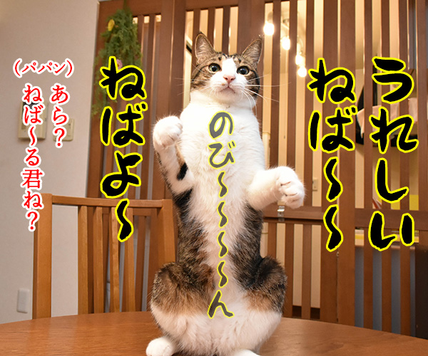 7月10日は『納豆』の日なんですってッ　猫の写真で４コマ漫画　２コマ目ッ
