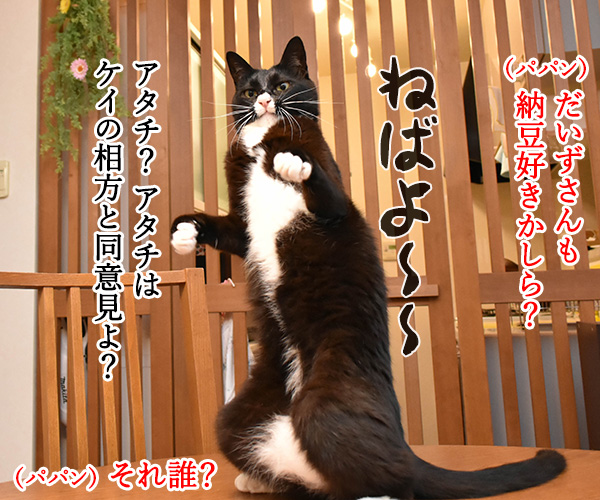 7月10日は『納豆』の日なんですってッ　猫の写真で４コマ漫画　３コマ目ッ