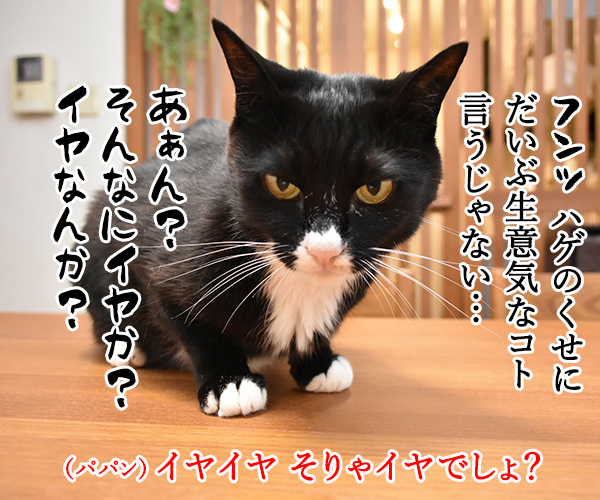 帰省ラッシュで大混雑なのッ　猫の写真で４コマ漫画　３コマ目ッ