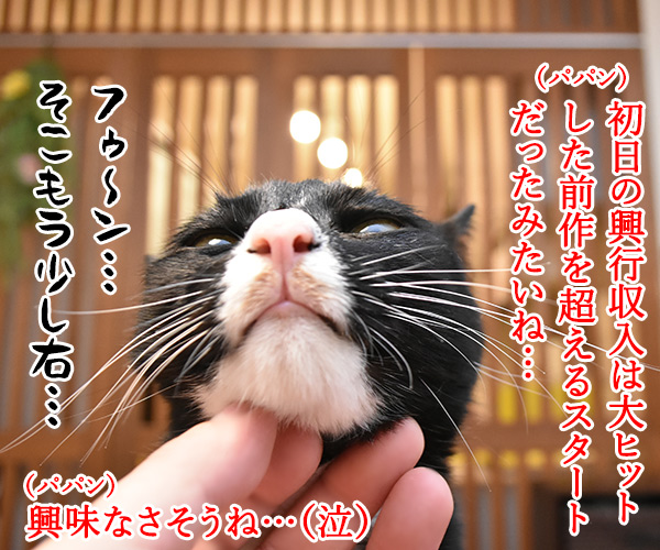 漫画「銀魂」が最終回まで残り5話なんですってッ　猫の写真で４コマ漫画　２コマ目ッ