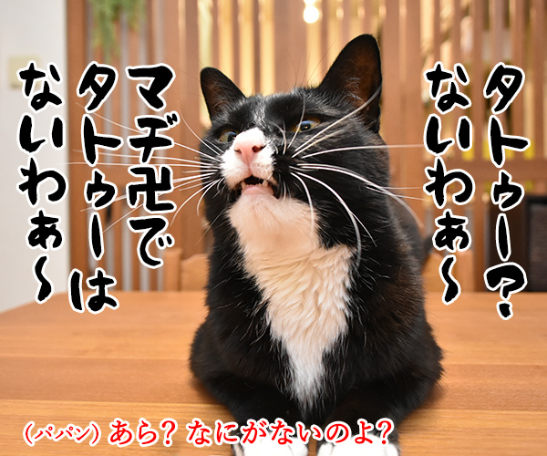 りゅうちぇるのタトゥーに賛否両論なのよッ　猫の写真で４コマ漫画　３コマ目ッ