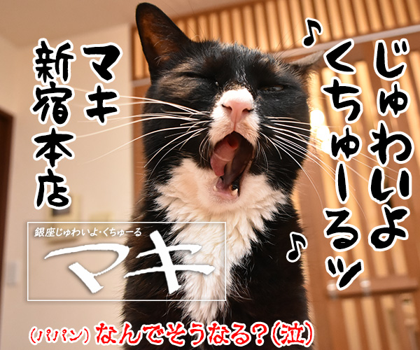 ちゅ～るのCMみたいな４コマなのよッ　猫の写真で４コマ漫画　４コマ目ッ