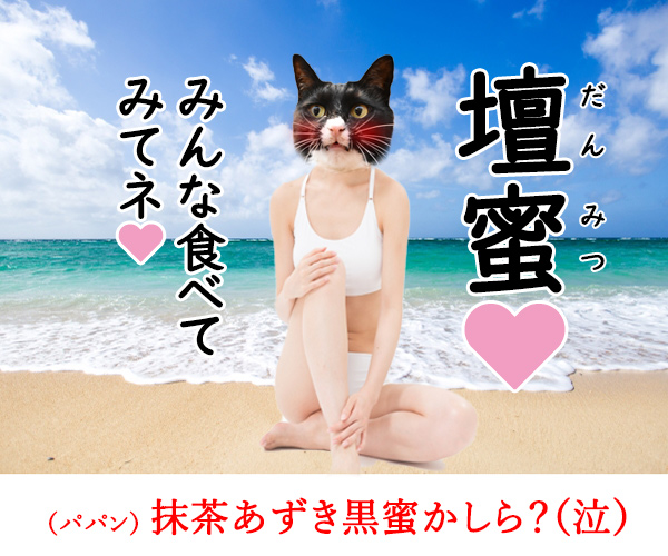 ハーゲンダッツから新しい「ジャポネシリーズ」が発売されるんですってッ　猫の写真で４コマ漫画　４コマ目ッ