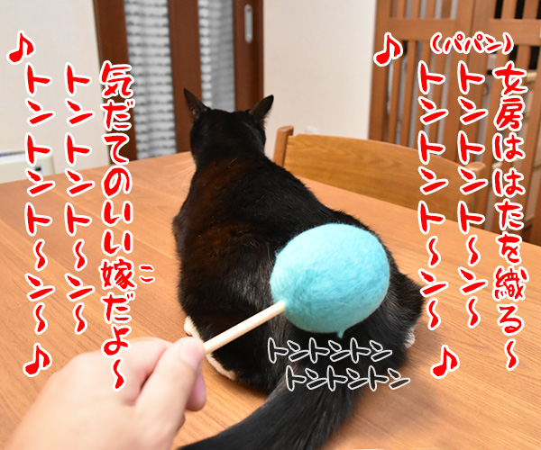 ネコトントンで腰トントンなのッ　猫の写真で４コマ漫画　３コマ目ッ