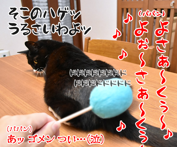 ネコトントンで腰トントンなのッ　猫の写真で４コマ漫画　４コマ目ッ