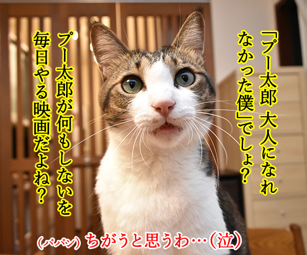 『プーと大人になった僕』を見ようと思うのッ　猫の写真で４コマ漫画　２コマ目ッ