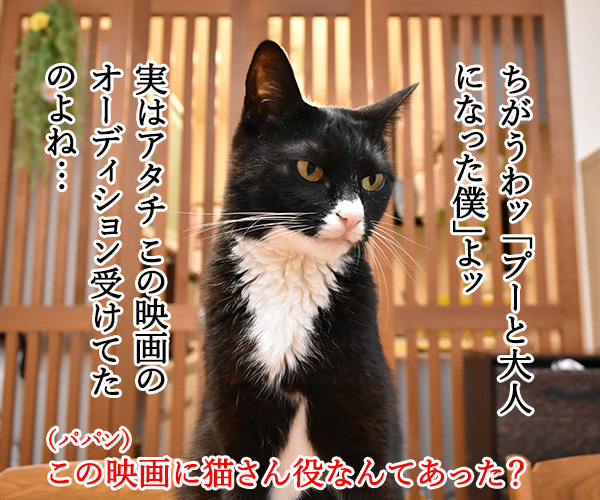 『プーと大人になった僕』を見ようと思うのッ　猫の写真で４コマ漫画　３コマ目ッ