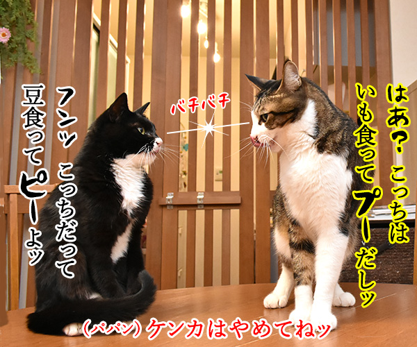 秋の野菜といえば何かしらー？　猫の写真で４コマ漫画　３コマ目ッ