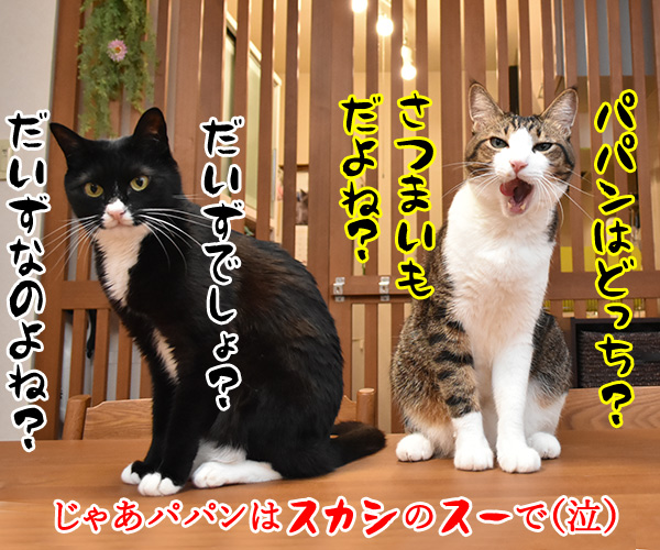 秋の野菜といえば何かしらー？　猫の写真で４コマ漫画　４コマ目ッ