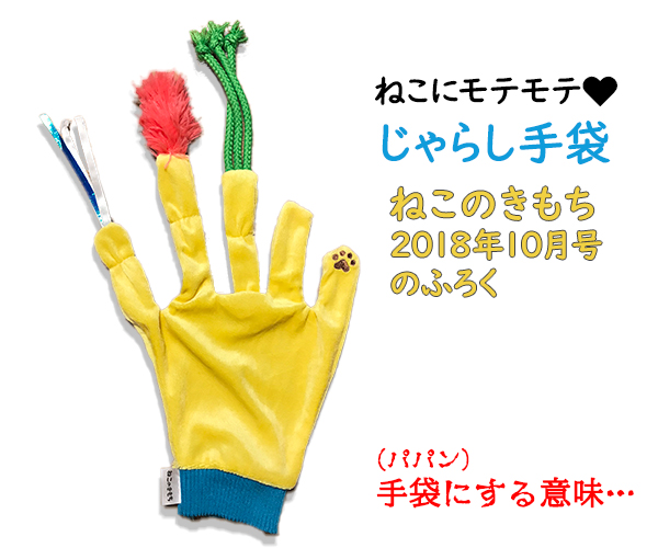 手袋の日だから『じゃらし手袋』で遊ぶのよッ　猫の写真で４コマ漫画　１コマ目ッ