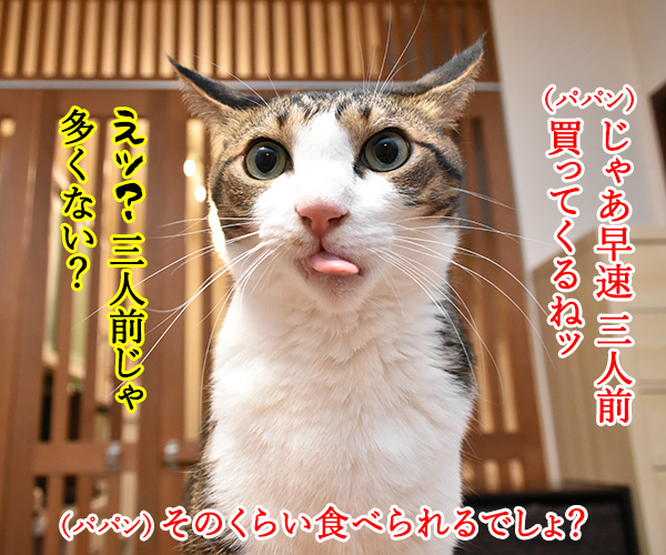 スシローで『大とろ祭』が開催中なのよッ　猫の写真で４コマ漫画　３コマ目ッ