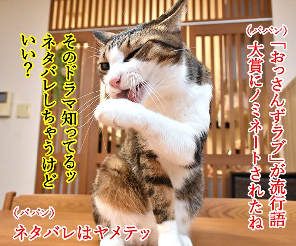  流行語大賞 ノミネート語 『おっさんずラブ』　猫の写真でー４コマ漫画　１コマ目ッ