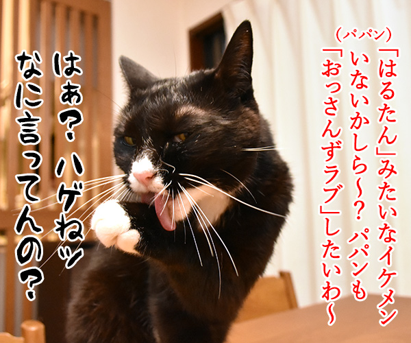  流行語大賞 ノミネート語 『おっさんずラブ』　猫の写真で４コマ漫画　３コマ目ッ