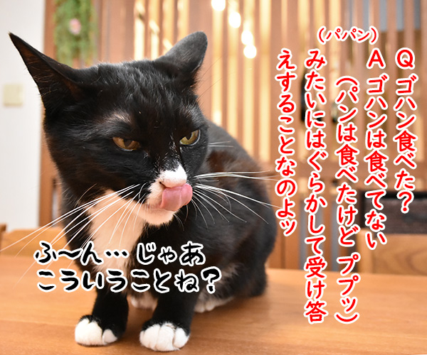 流行語大賞 ノミネート語 『ご飯論法』　猫の写真で４コマ漫画　２コマ目ッ