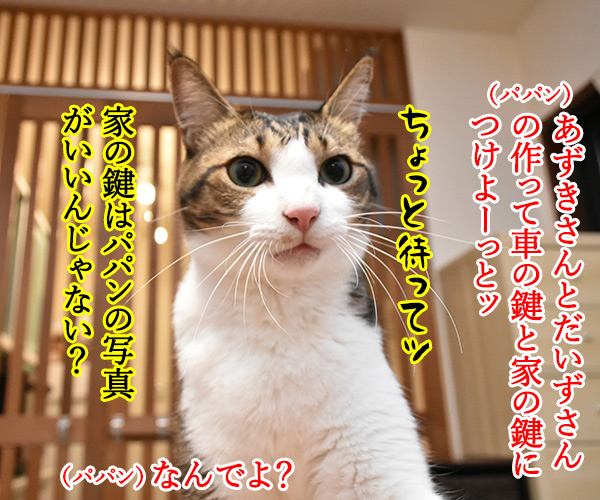 かわいいキーホルダーが欲しいのよッ　猫の写真で４コマ漫画　３コマ目ッ