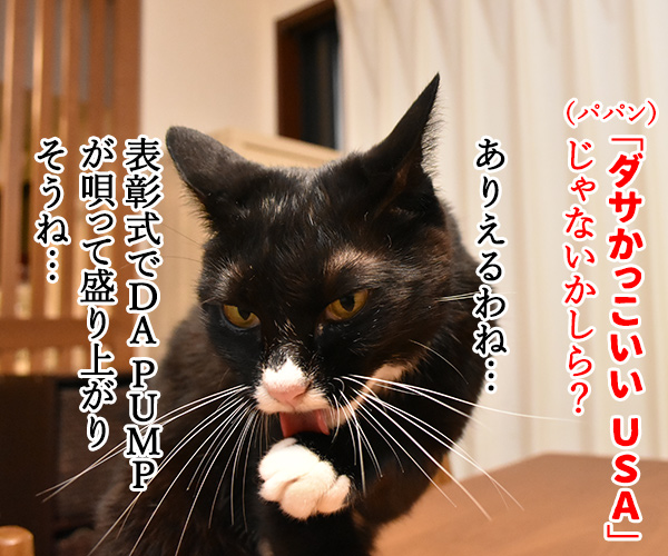 きょうは流行語大賞の発表日なのッ　猫の写真で４コマ漫画　２コマ目ッ