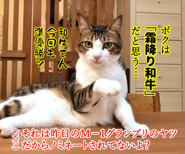 きょうは流行語大賞の発表日なのッ　猫の写真で４コマ漫画　３コマ目ッ