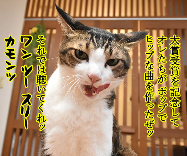 流行語大賞は「そだねー」に決まったのよッ　猫の写真で４コマ漫画　２コマ目ッ