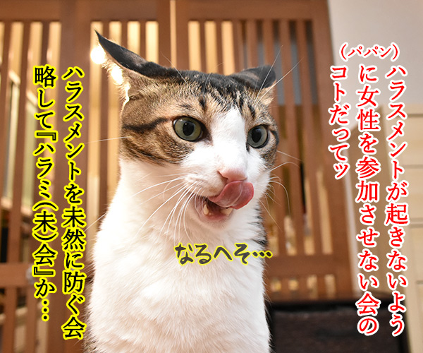 ハラミ会って美味しいのー？　猫の写真で４コマ漫画　２コマ目ッ