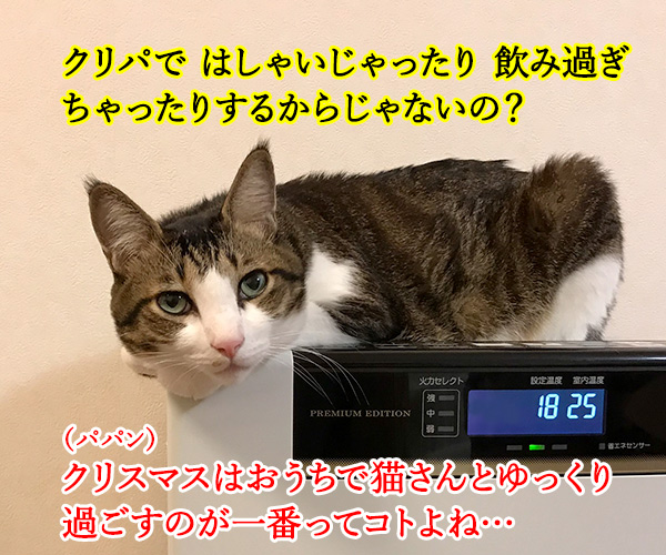 イブの夜10時は心筋梗塞の発作ピークなんですってッ　猫の写真で４コマ漫画　２コマ目ッ