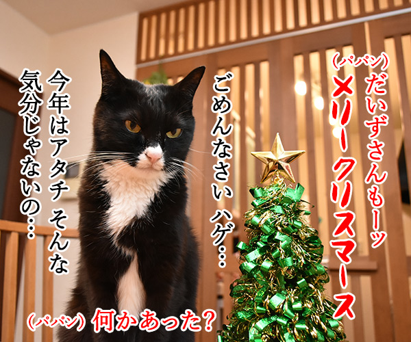 クリスマスにとってもとっても見たかったもの　猫の写真で４コマ漫画　２コマ目ッ