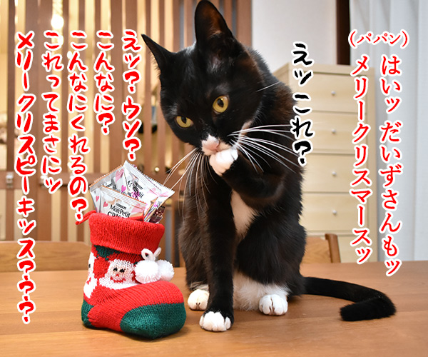 あずきさんとだいずさんにクリスマスプレゼントなのッ　猫の写真で４コマ漫画　３コマ目ッ